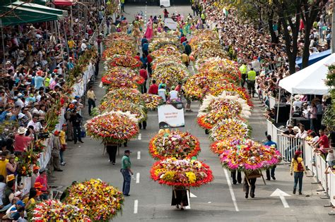 Festival de las Flores: Uma Celebração Explosiva da Cor e do Contestado Cultural na Era Digital